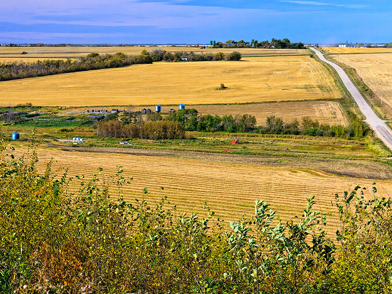 How to Buy Farmland in Saskatchewan: A Step-by-Step Guide
