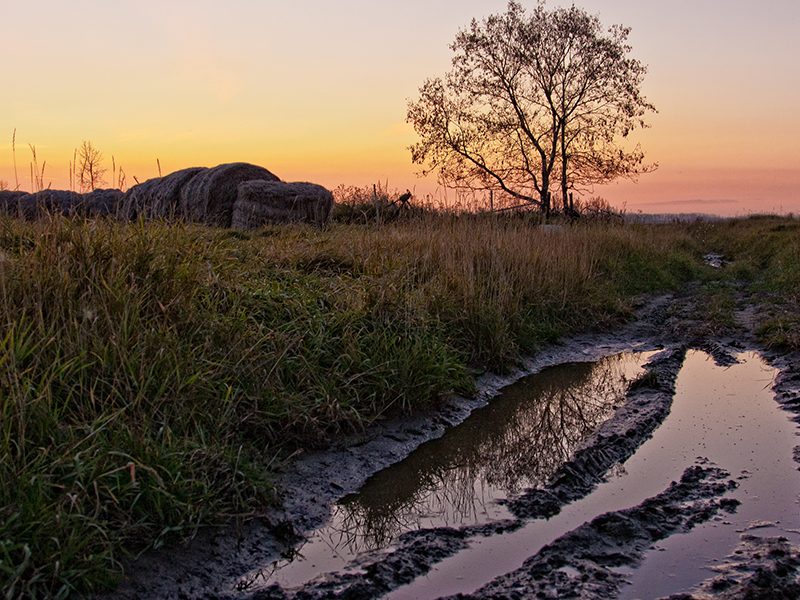 Top 5 Regions in Saskatchewan to Buy Farmland Right Now